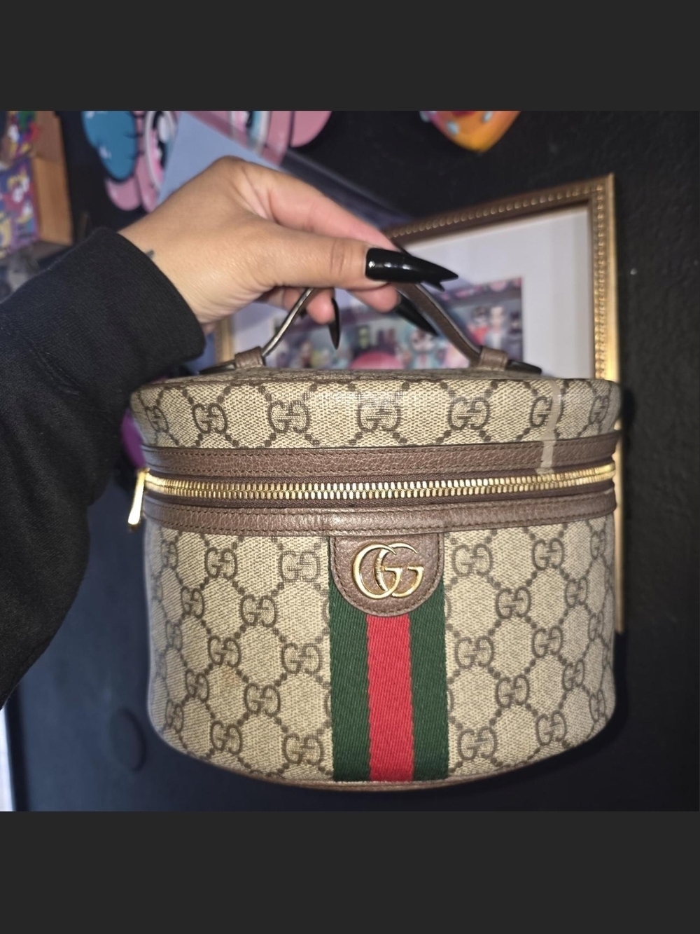 Gucci Ophidia Case